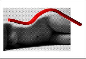 bodyscape