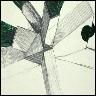 Chamber04