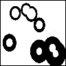 cirkler16