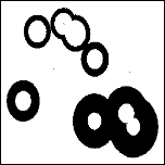 cirkler16