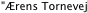 "Ærens Tornevej