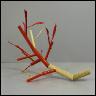 Lungtree