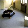item13