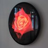 Rose for I.C. 2021. Ø 60 cm. LED lightbox.